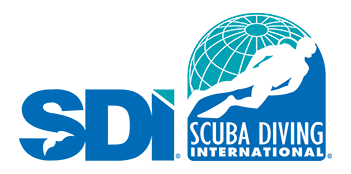 SDI