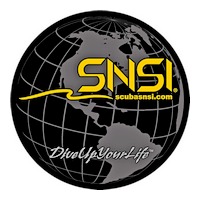 SNSI