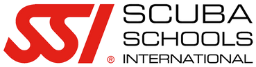 SSI